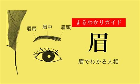 眉毛性格|眉でわかる人相！眉の形や特徴ごとの性格【観相学】